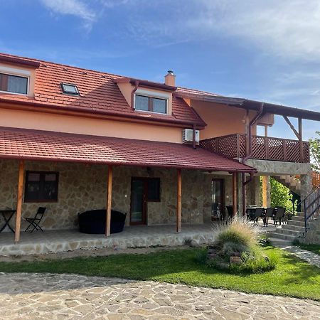 Szoegedi Villa Бадачоньтомай Экстерьер фото